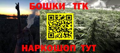 гидра Кинель
