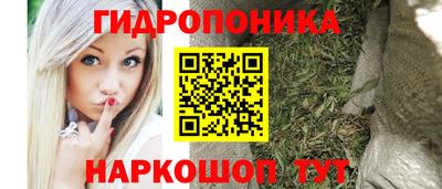 гидра Кинель