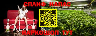 гидра Кинель