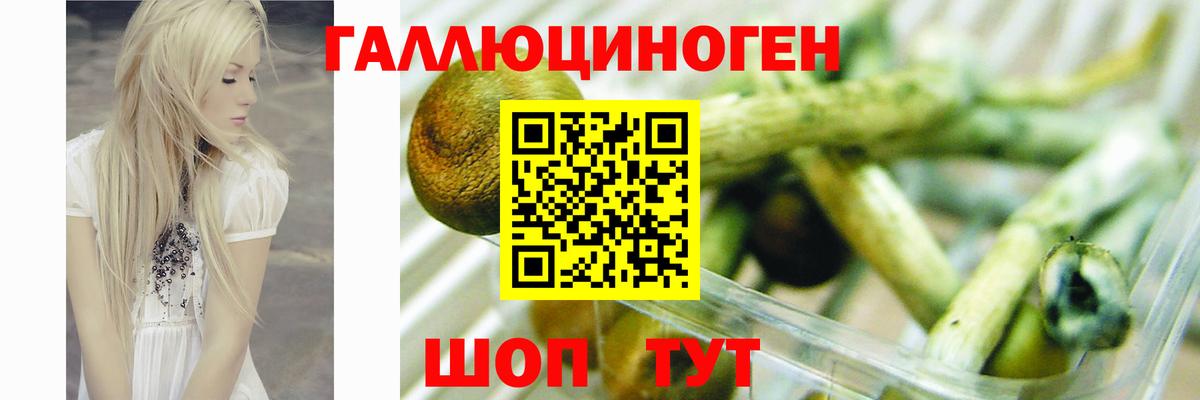 Галлюциногенные грибы MAGIC MUSHROOMS  Вход с VPN  Краснознаменск 